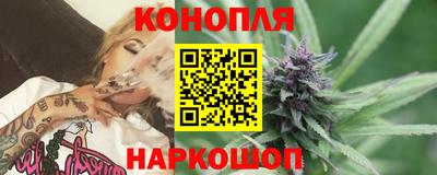 гашик Будённовск