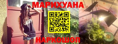 гашик Будённовск
